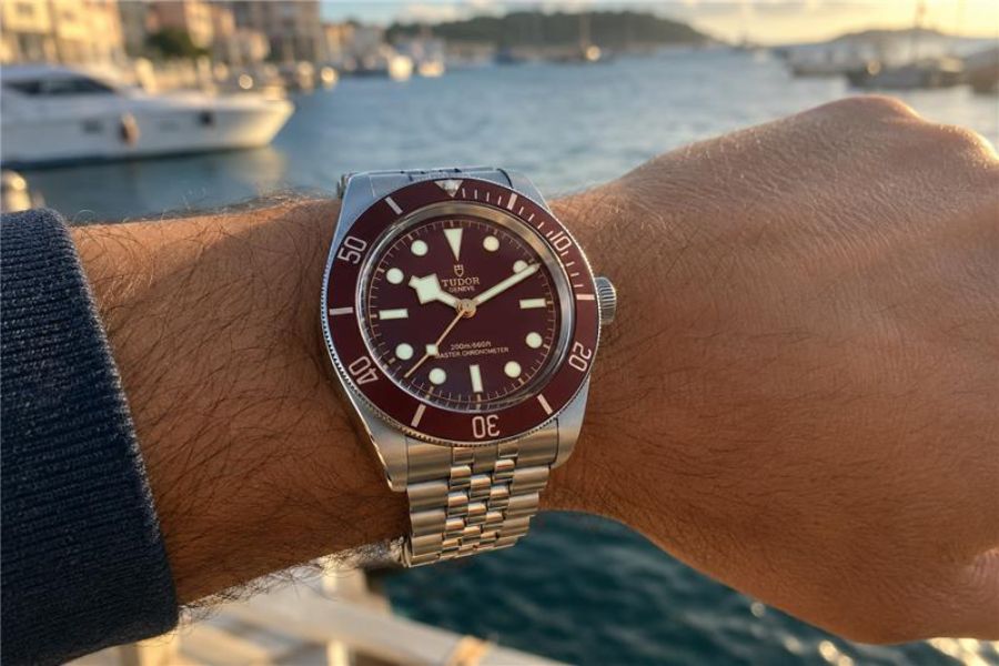 tudor pelagos 39 titanium dive watch m25407n fort lauderdale tudor pelagos 39 titanium dive watch m25407n fort lauderdale